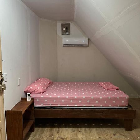 Hostel Tuanis Surf Camp Playa Santa Teresa  Ngoại thất bức ảnh